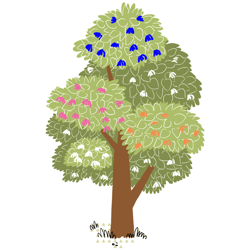 My Fabry Tree - AIAF - Albero nonni + fratelli + genitori