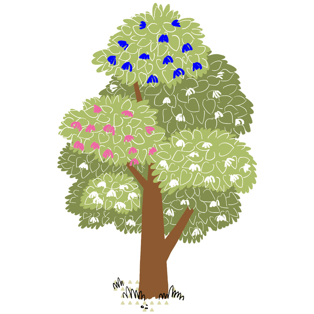 My Fabry Tree - AIAF - Albero nonni + genitori