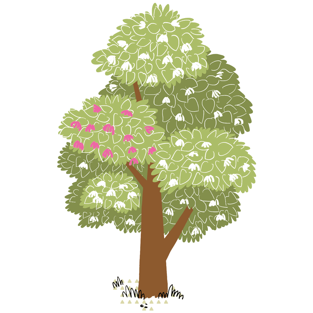 My Fabry Tree - AIAF - Albero nonni