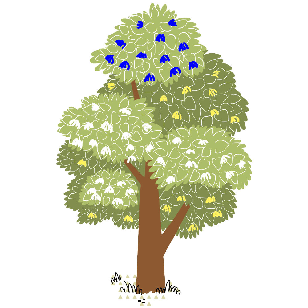 My Fabry Tree - AIAF - Albero genitori + zii
