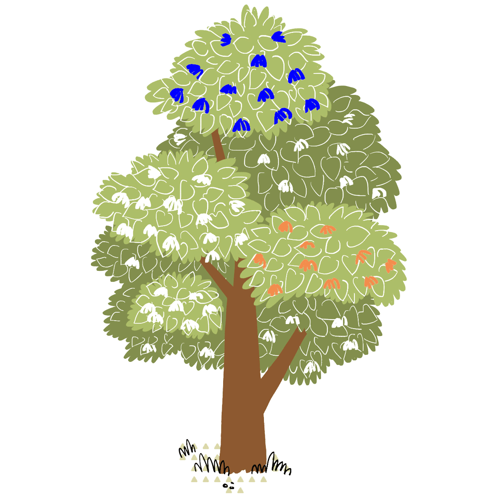 My Fabry Tree - AIAF - Albero genitori + fratelli