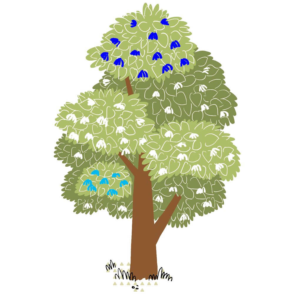 My Fabry Tree - AIAF - Albero genitori + figli