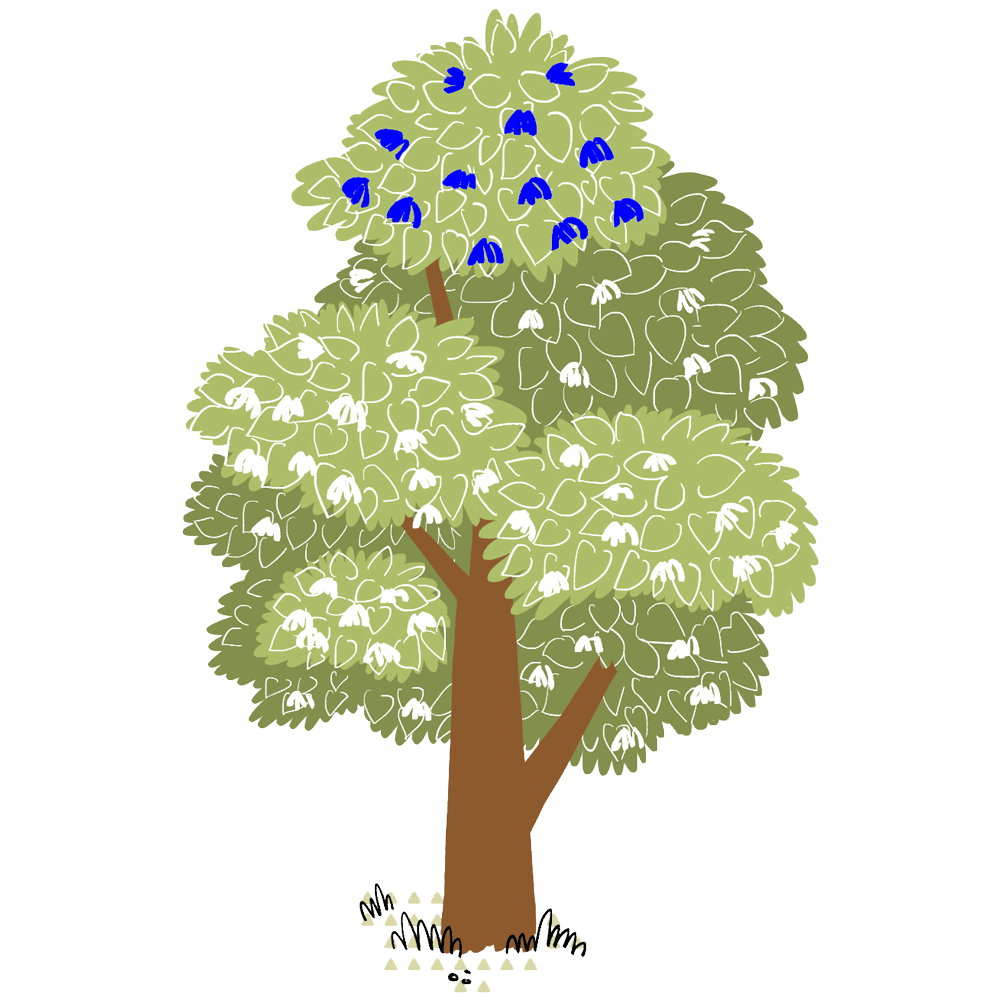 My Fabry Tree - AIAF - Albero genitori