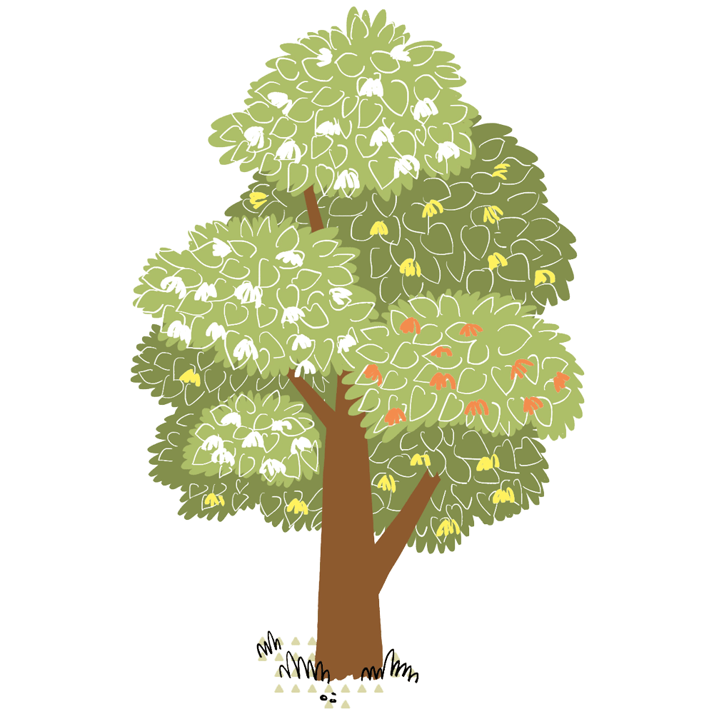 My Fabry Tree - AIAF - Albero zii + fratelli