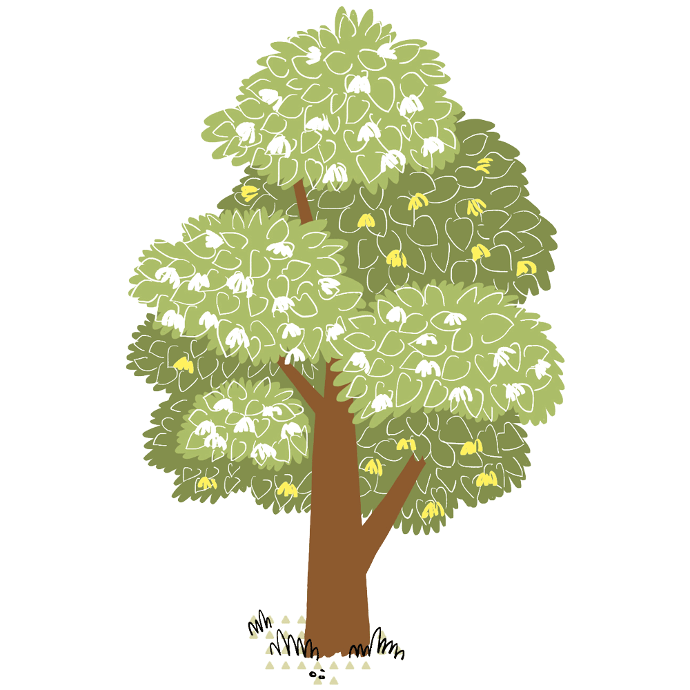 My Fabry Tree - AIAF - Albero zii