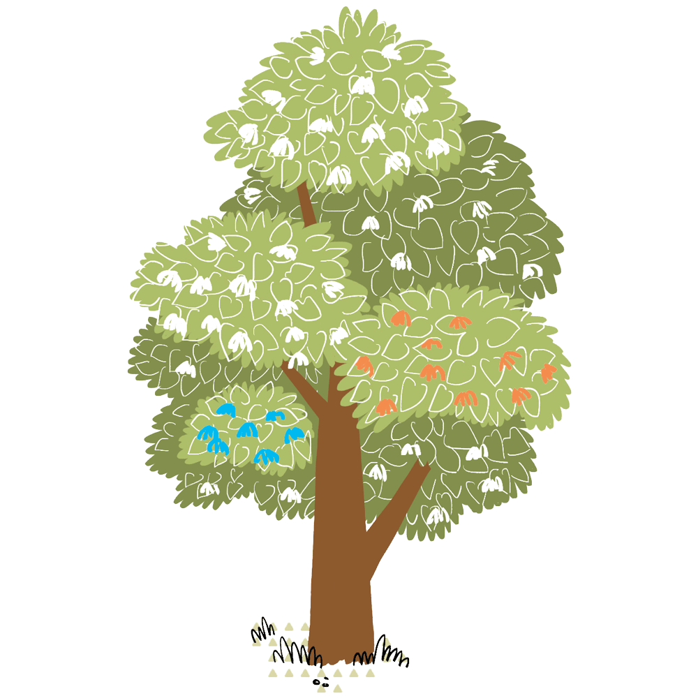 My Fabry Tree - AIAF - Albero fratelli sorelle + figli