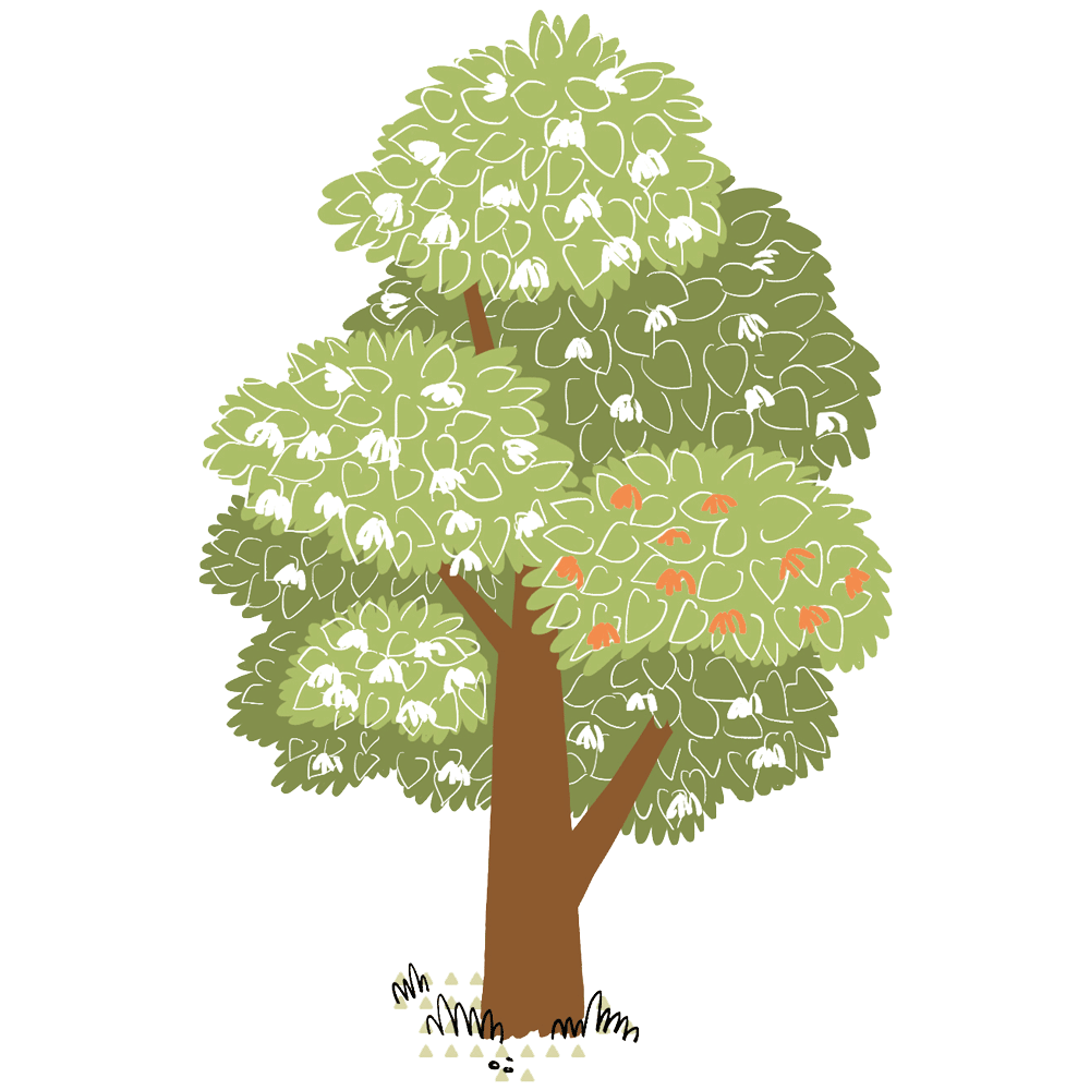 My Fabry Tree - AIAF - Albero fratelli sorelle