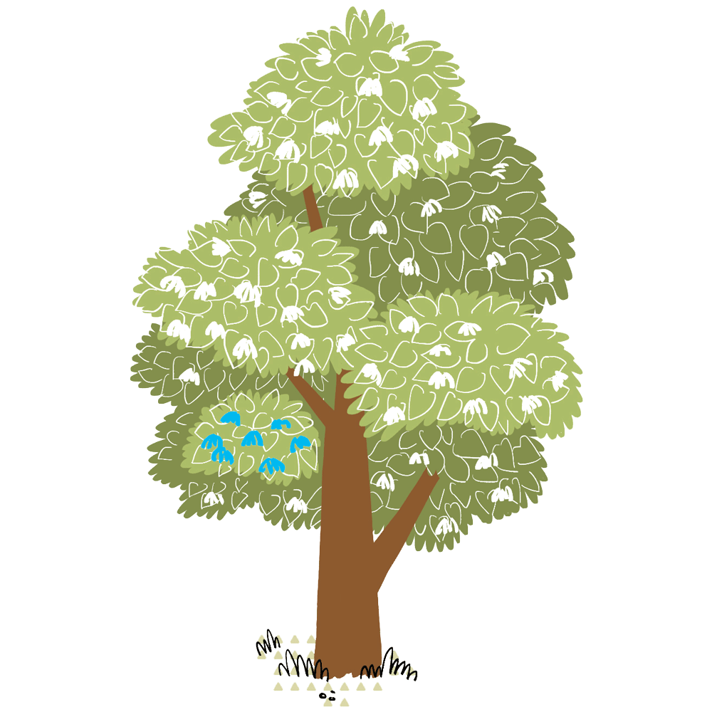My Fabry Tree - AIAF - Albero figli