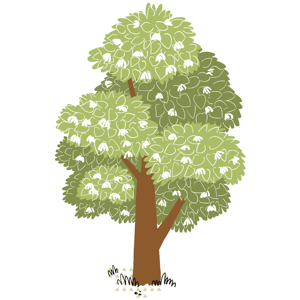 My Fabry Tree - AIAF - Albero bianco